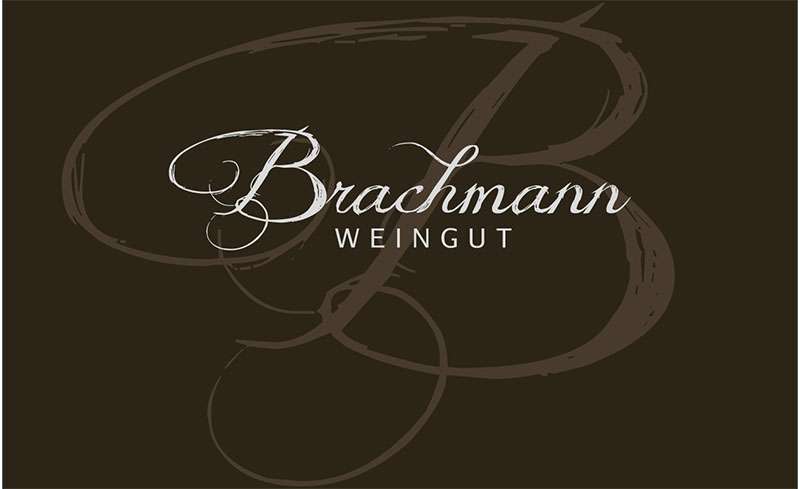 Brachmann Logo