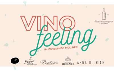 VINOfeeling – das Sommerevent der #traisentalwinzerinnen